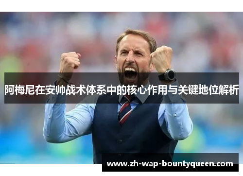 阿梅尼在安帅战术体系中的核心作用与关键地位解析 阿梅尼在安帅战术体系中的核心作用与关键地位解析