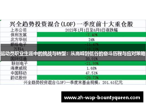 运动员职业生涯中的挑战与转型：从高峰到低谷的奋斗历程与应对策略